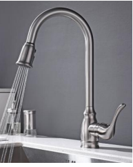 Kitchen Faucet FC805102